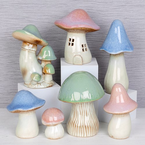 Pretty Mushrooms
