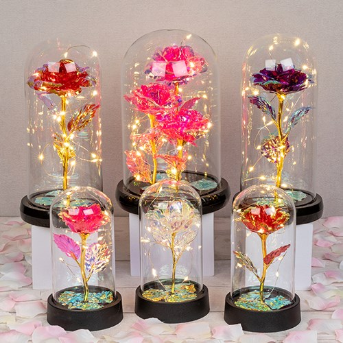 Radiant Rose LED Domes