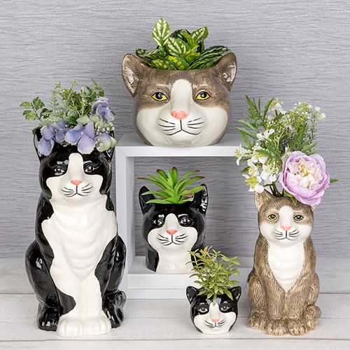 Moggy Pots