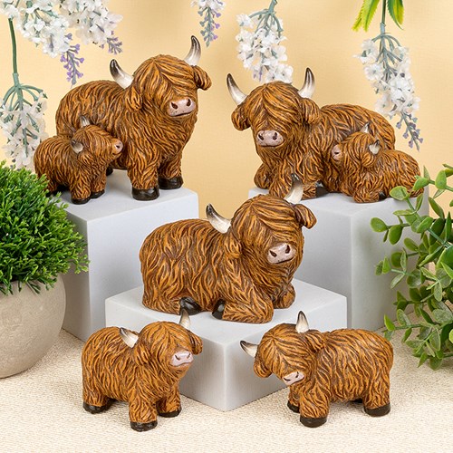 Happy Highland Coo