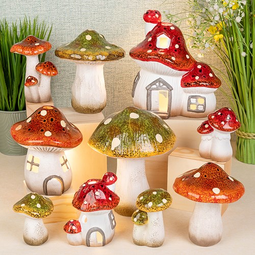 Woodland Mushroom Collection