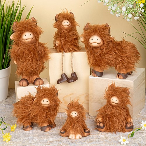 Fluffy Highland Coos