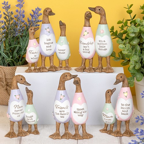 Daisy Message Ducks