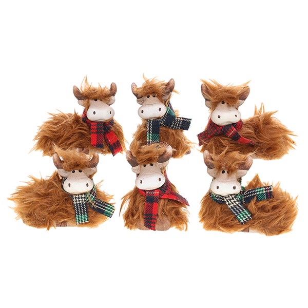 Highland Coos Posing Mini