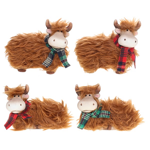 Highland Coos Posing Small