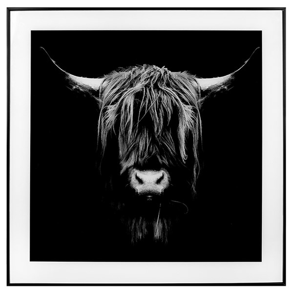 Decor Picture Square Large Highland Coo