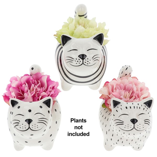 Quirky Cats Planter Small