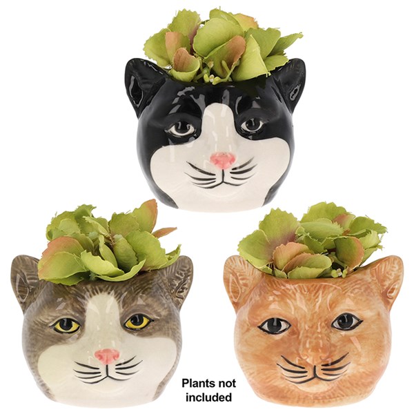 Moggy Pots Mini Planters