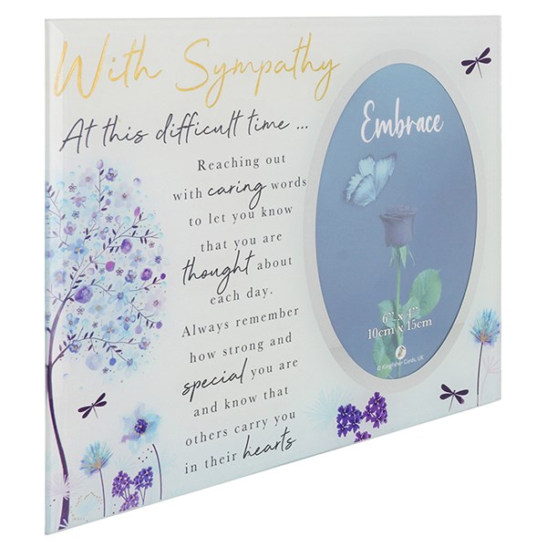 Embrace Sentiment Frame Sympathy