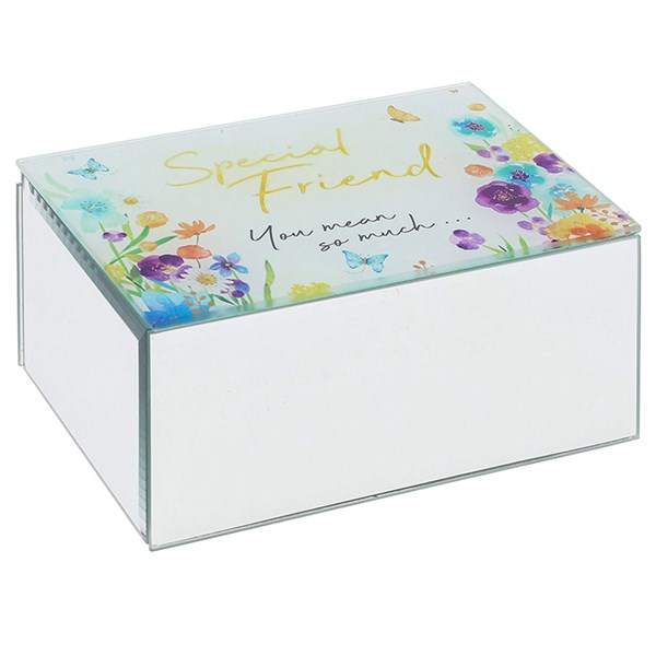 Embrace Jewellery Box Special Friend