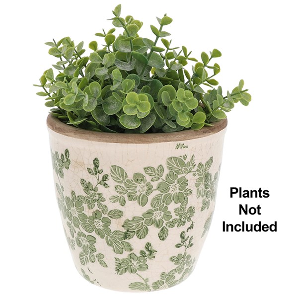 Clematis Garden Planter Large