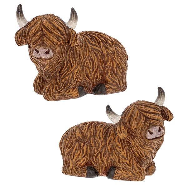 Happy Highland Coo Lying