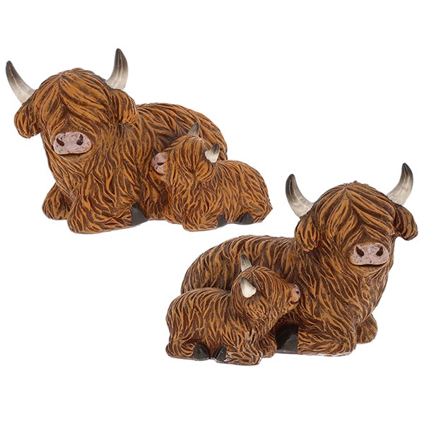 Happy Highland Coo Lying with Calf