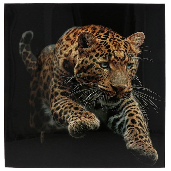 High Definition Art Leaping Leopard