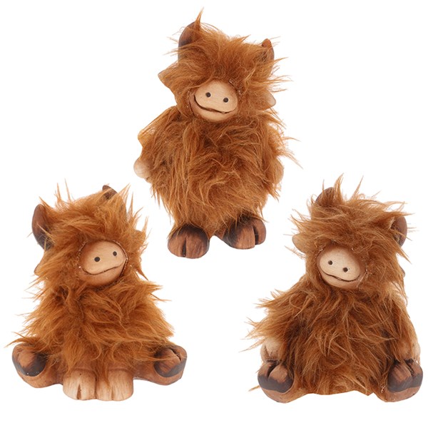 Fluffy Highland Coo Posing Small