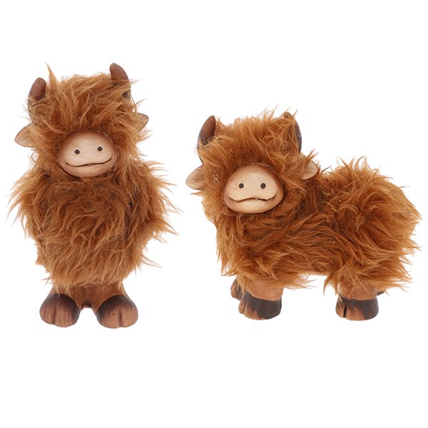 Fluffy Highland Coo Posing Large