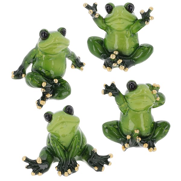 Tropical Tree Frog Baby