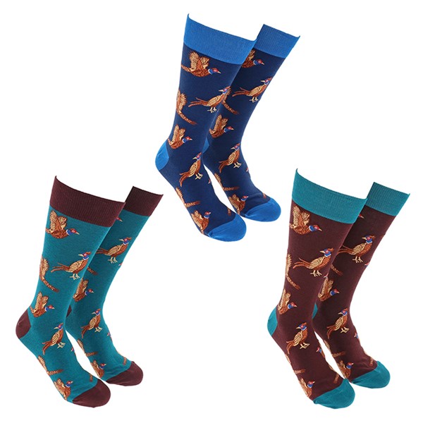Sock Society Phase 14 Pheasant