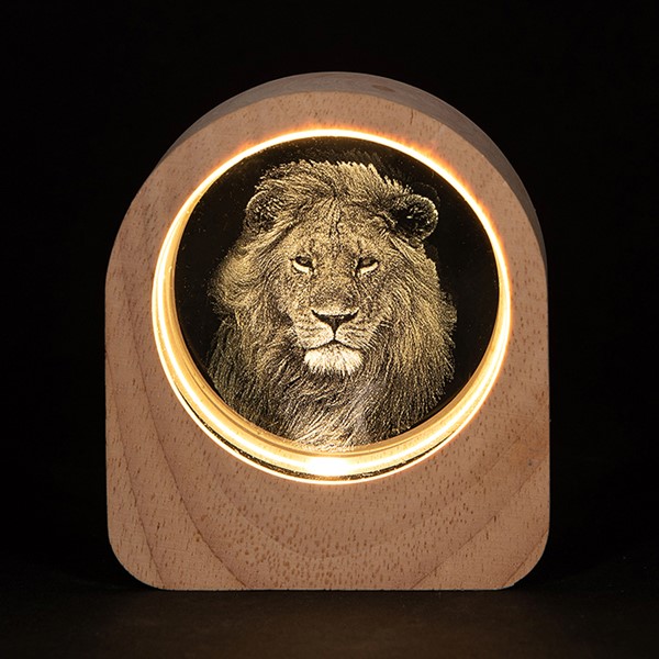Laser Art LED Disc Lion