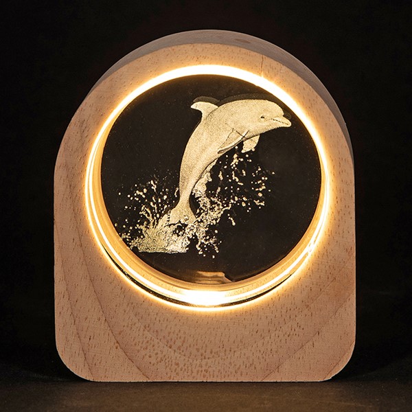 Laser Art LED Disc Dolphin