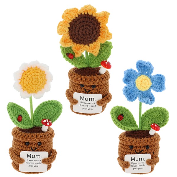 Crochet Smiley Pot Mum