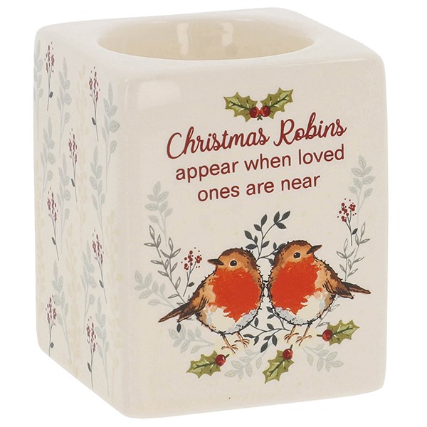 Winter Robins Appear Tealight