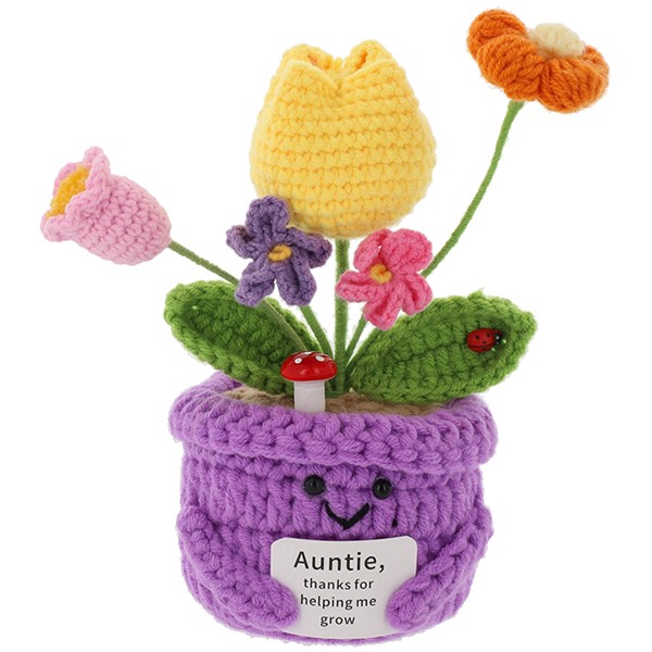 Crochet Smiley Pot Auntie
