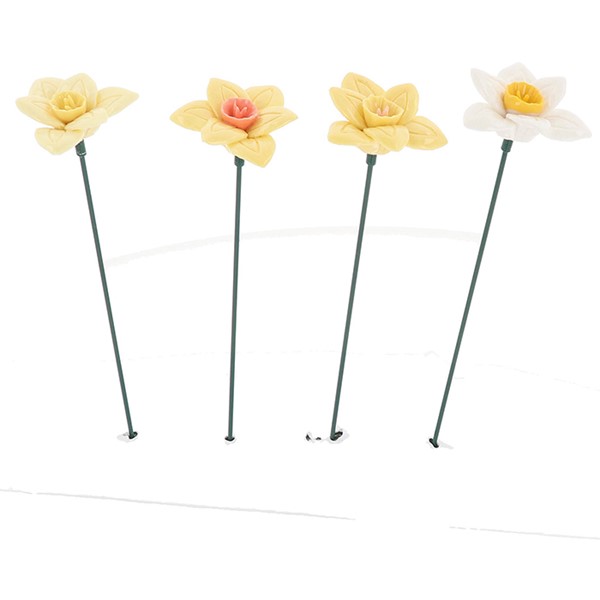 Porcelain Petals Narcissus