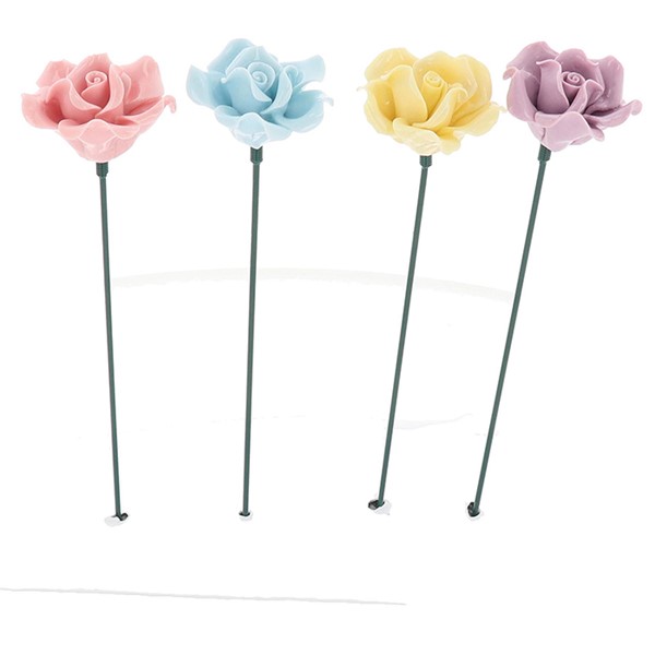 Porcelain Petals Wild Rose