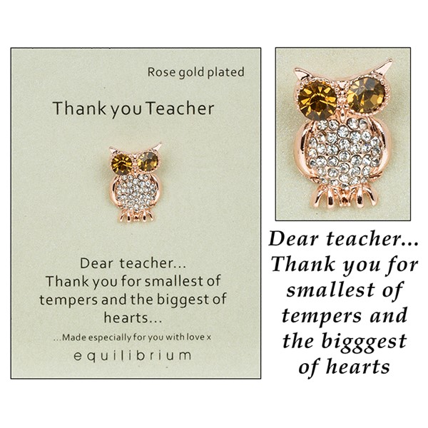 Equilibrium Sentiment Pin Brooch Teacher