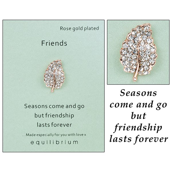 Equilibrium Sentiment Pin Brooch Friends