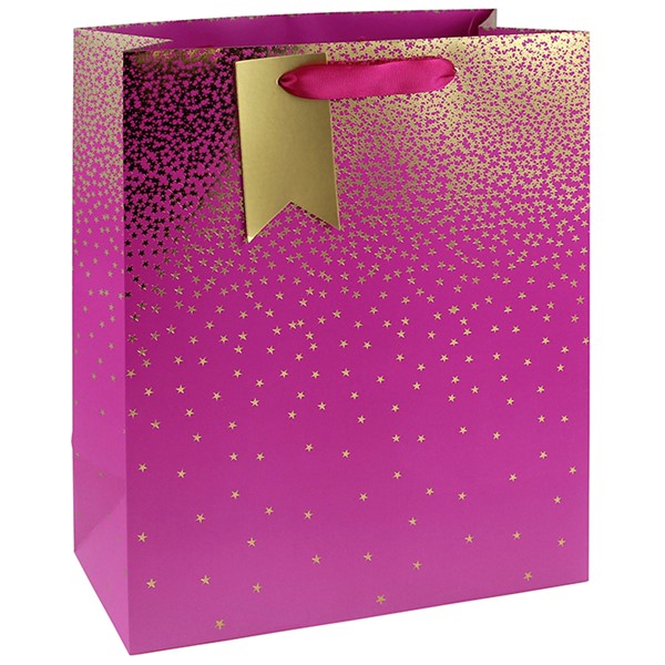 Pink Ombre Gift Bag Large