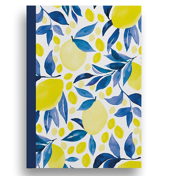 Jolipad Lemon A6 Notepad 6s