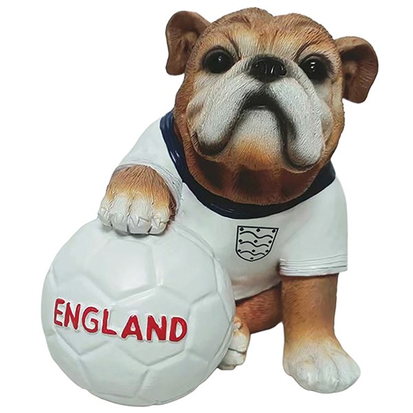 Football Mad English Bulldog