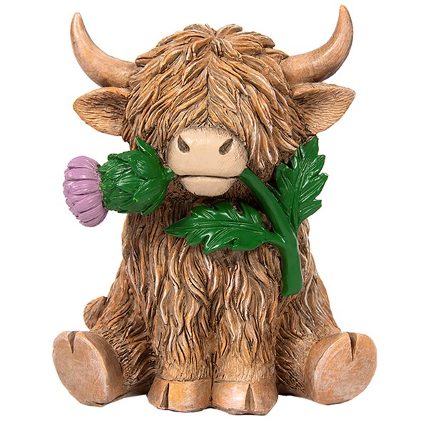 Highland Happy Cow Thistle