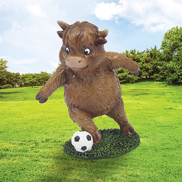 Brown Highland Cow Hobbies Football