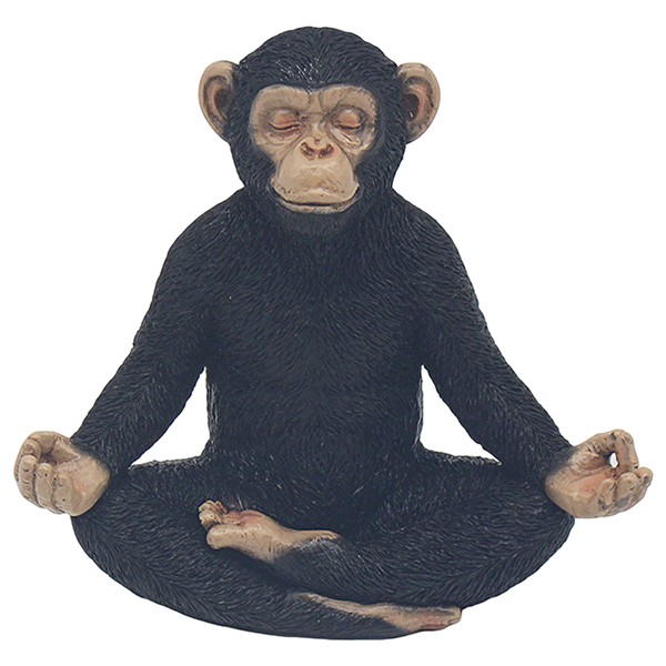 Cheeky Monkey Yoga