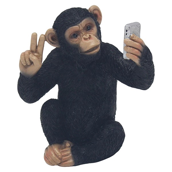 Cheeky Monkey Selfie
