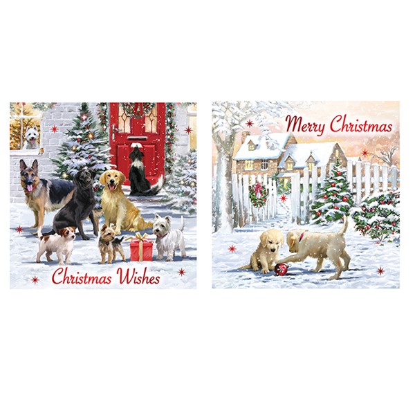 Xmas Dogs 12 Pack Cards